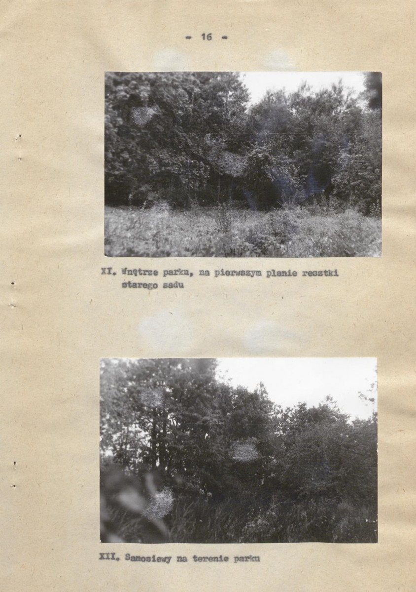 Ewidencja parkowa, skan nr 23