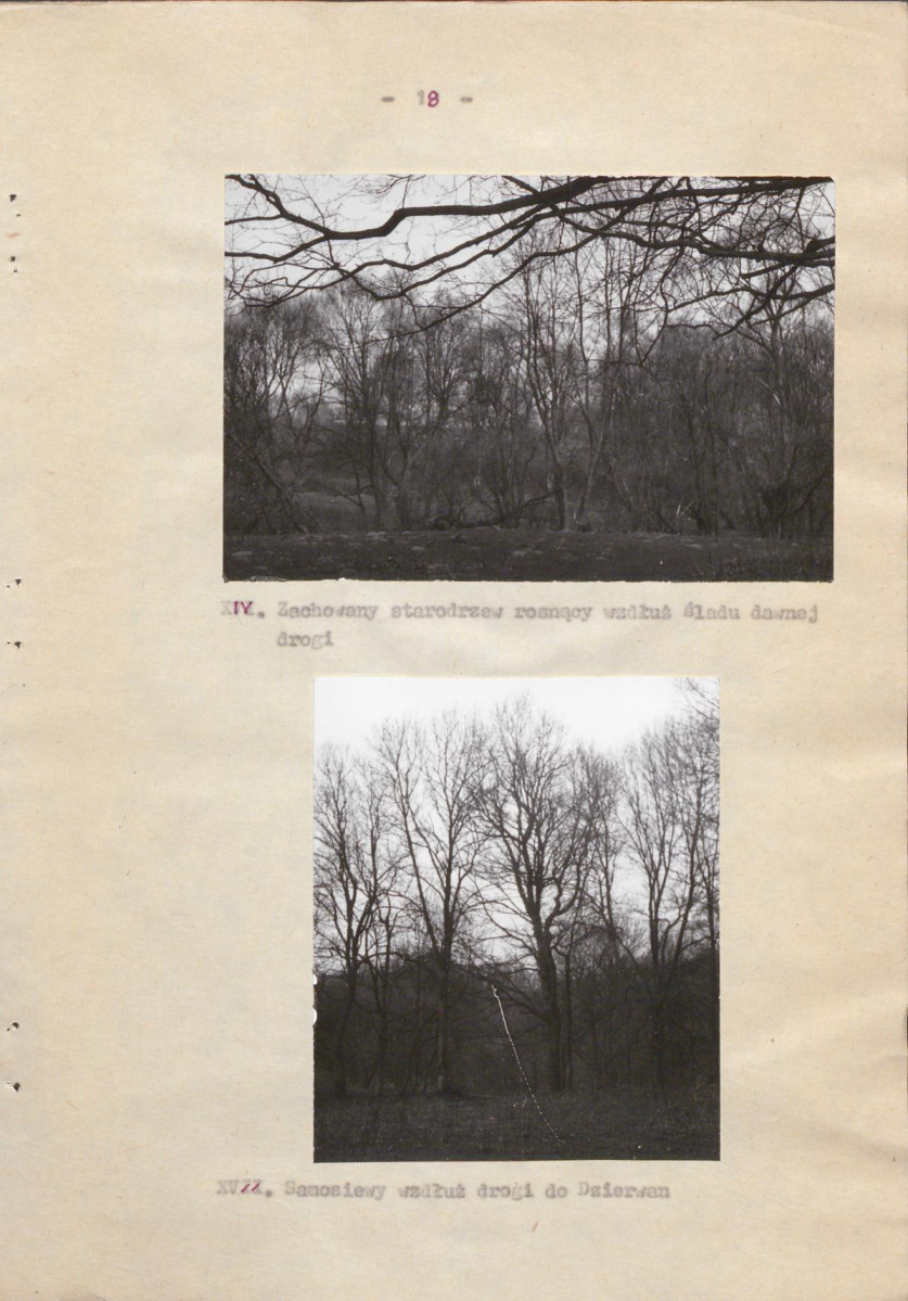 EP - Ewidencja parkowa, skan nr 25