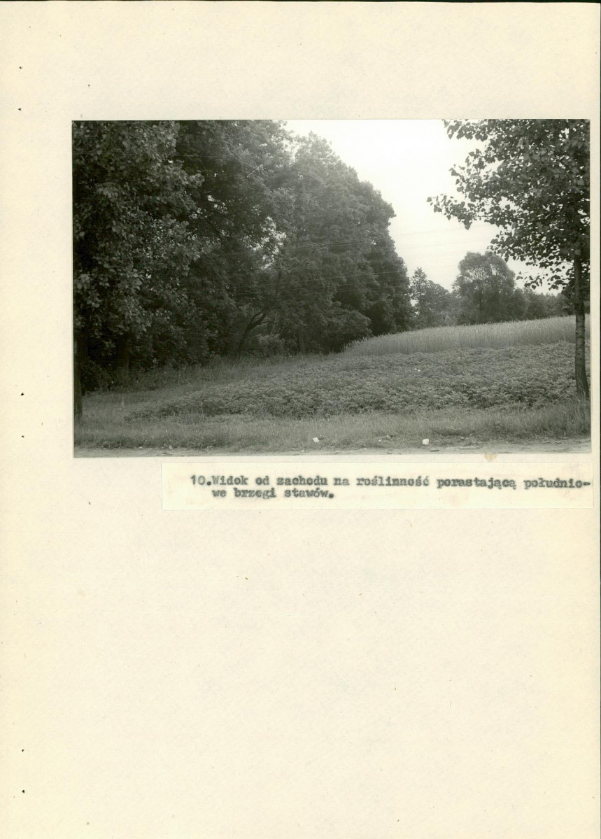 EP - Ewidencja parkowa, skan nr 37