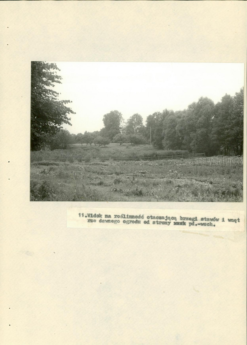 EP - Ewidencja parkowa, skan nr 38