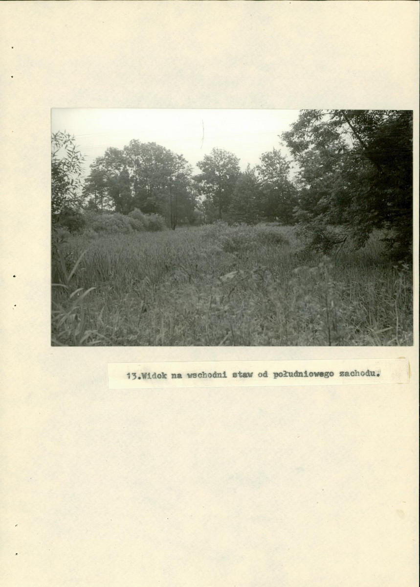 EP - Ewidencja parkowa, skan nr 40
