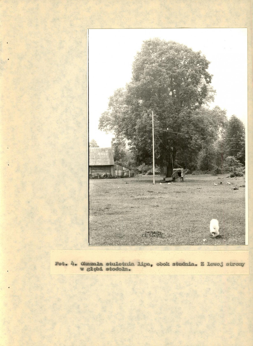 EP - Ewidencja parkowa, skan nr 30