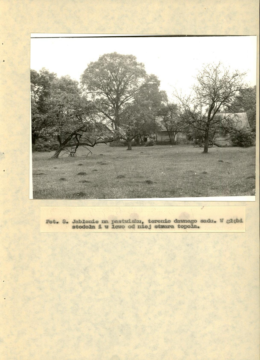 EP - Ewidencja parkowa, skan nr 34