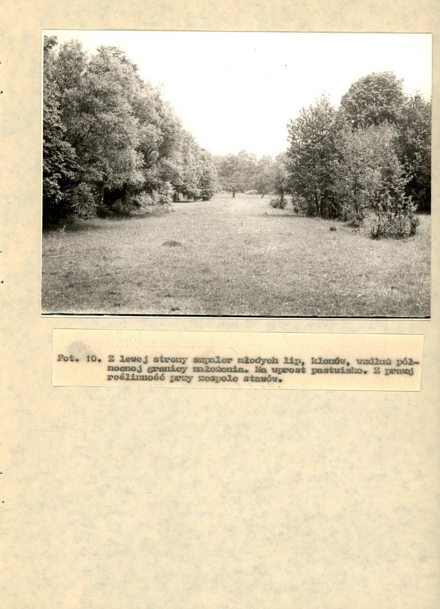 EP - Ewidencja parkowa, skan nr 36