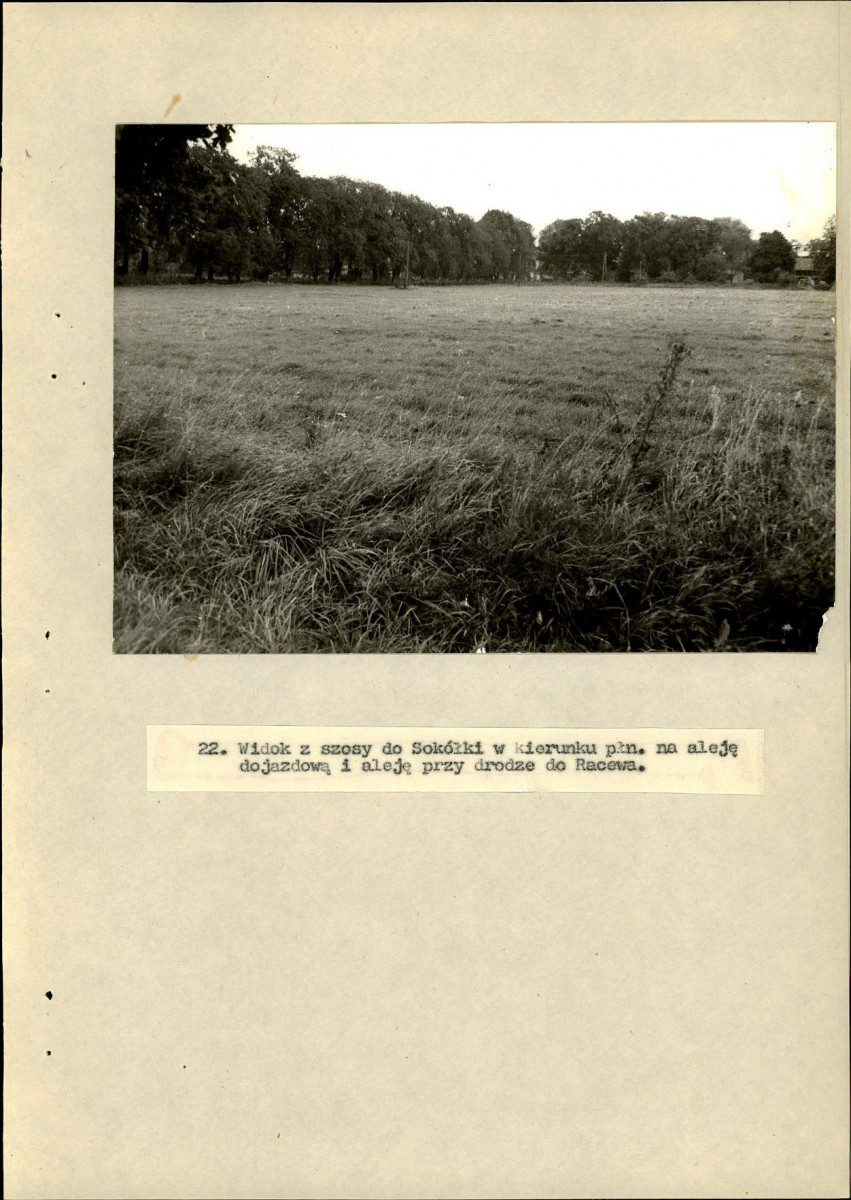 EP - Ewidencja parkowa, skan nr 55