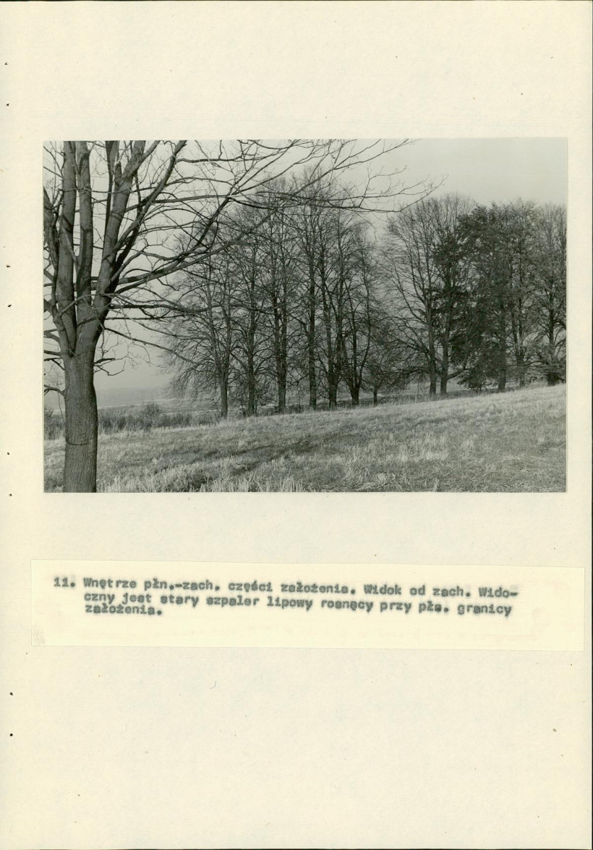 EP - Ewidencja parkowa, skan nr 31