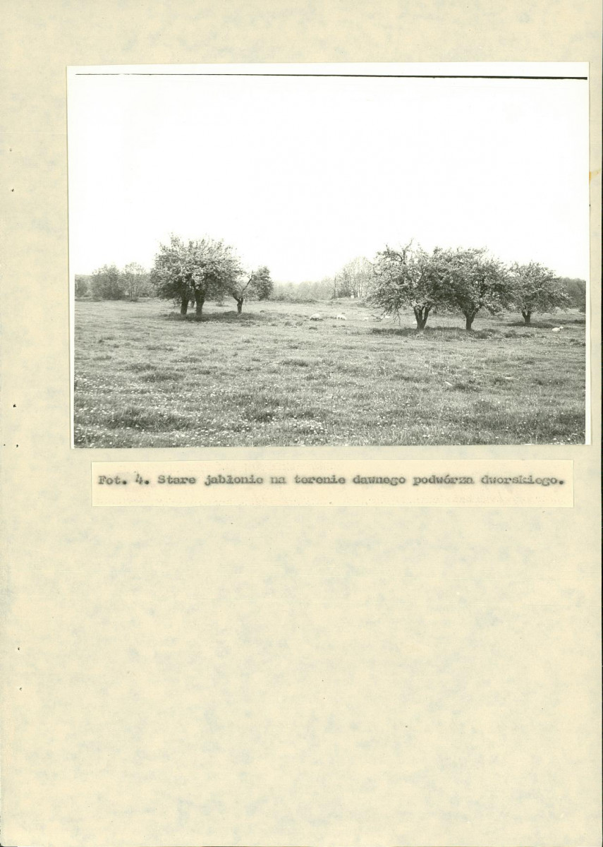 EP - Ewidencja parkowa, skan nr 29