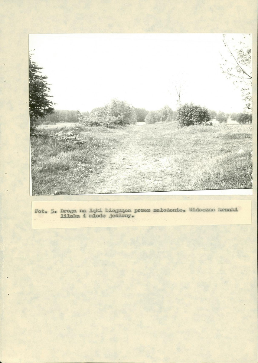 EP - Ewidencja parkowa, skan nr 30