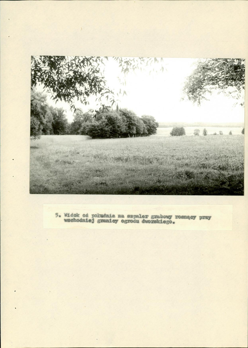 EP - Ewidencja parkowa, skan nr 26