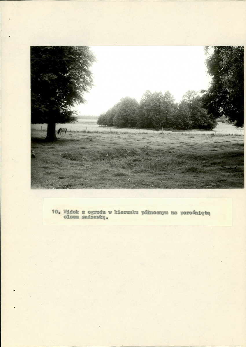 EP - Ewidencja parkowa, skan nr 31