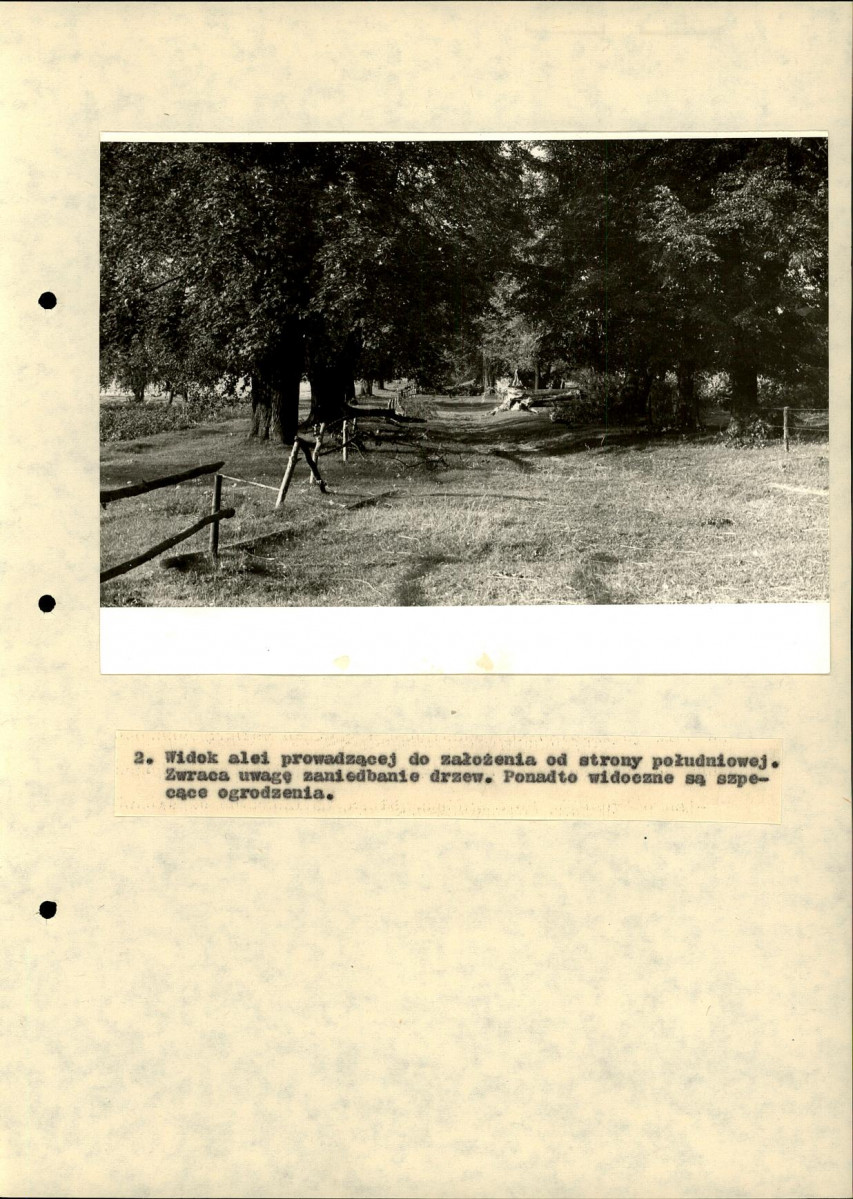 EP - Ewidencja parkowa, skan nr 38