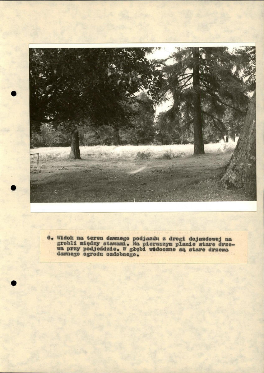 EP - Ewidencja parkowa, skan nr 42