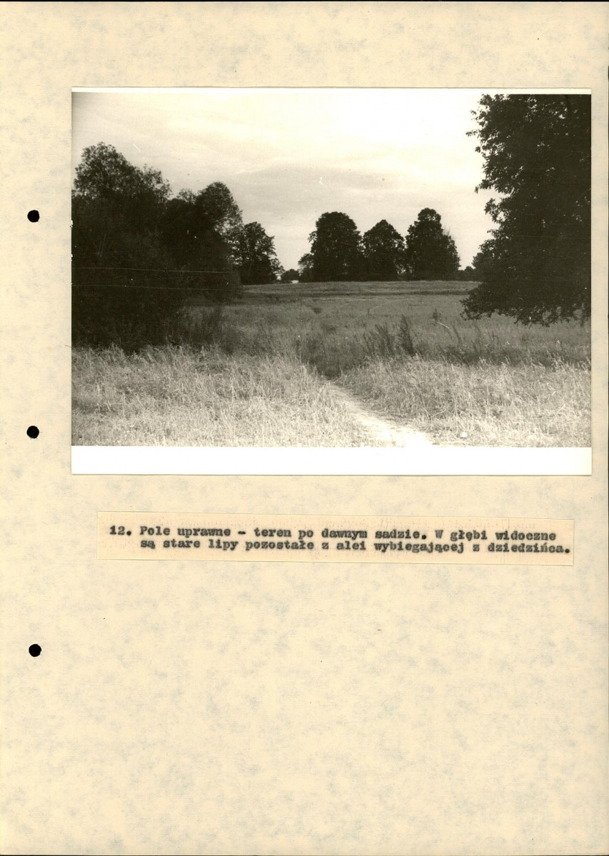 EP - Ewidencja parkowa, skan nr 48