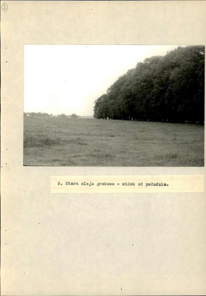 Ewidencja parkowa, skan nr 43
