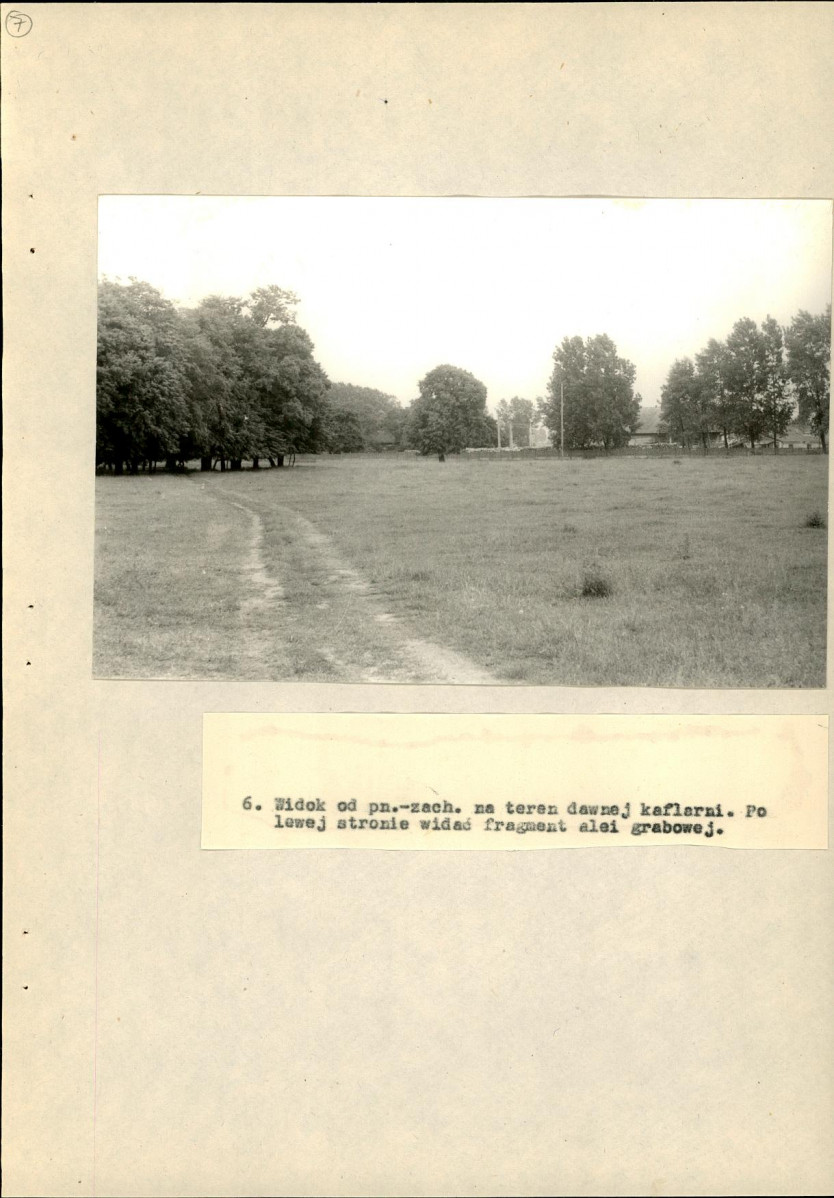 Ewidencja parkowa, skan nr 47