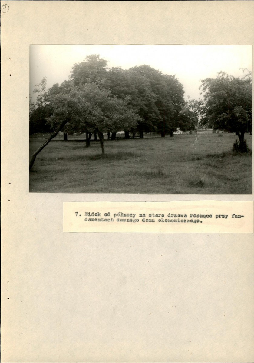 Ewidencja parkowa, skan nr 48