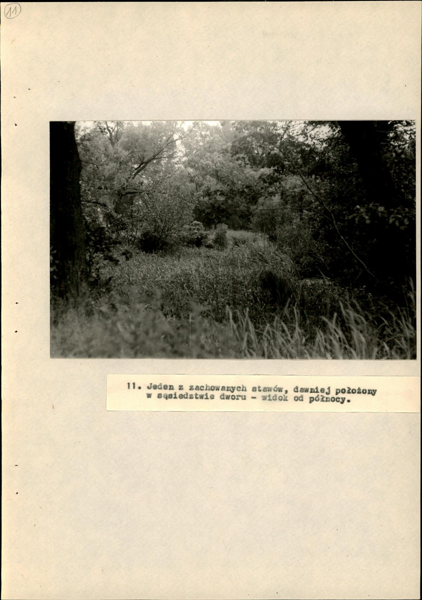 Ewidencja parkowa, skan nr 52