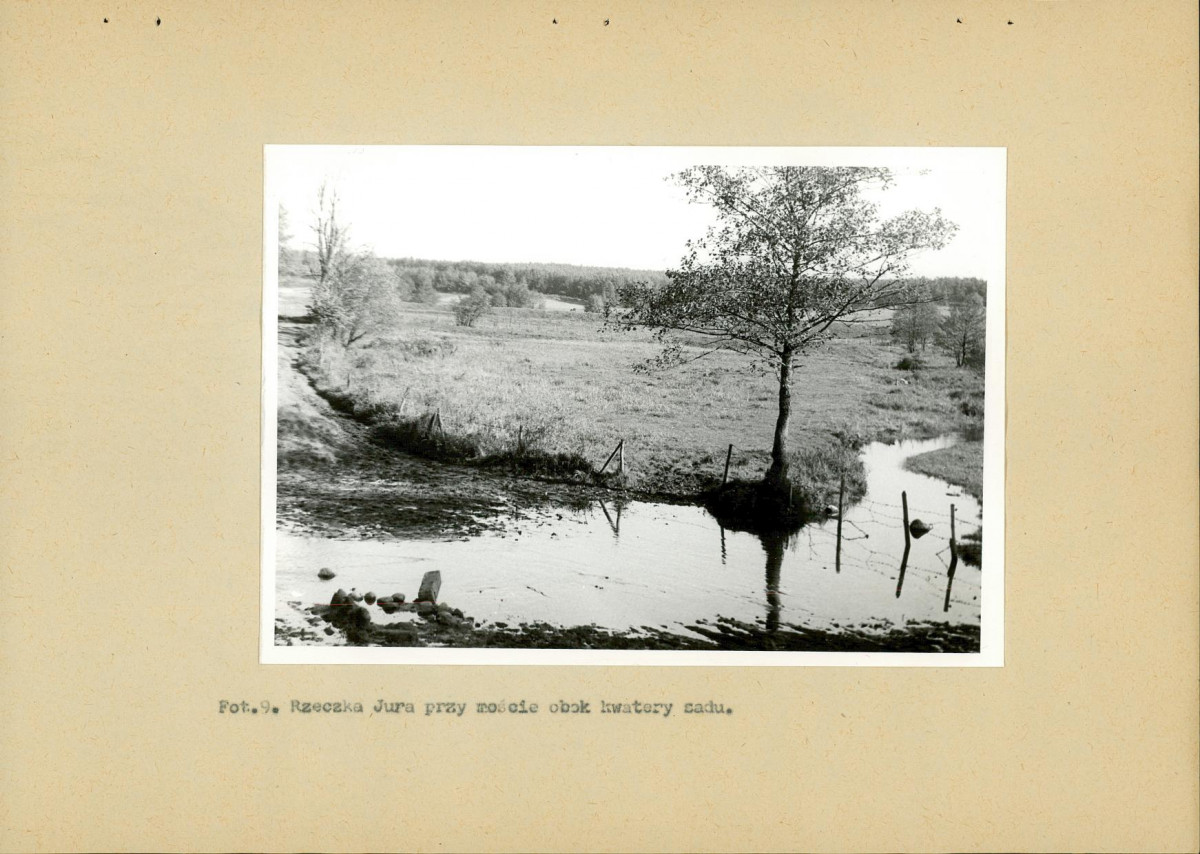 EP - Ewidencja parkowa, skan nr 33