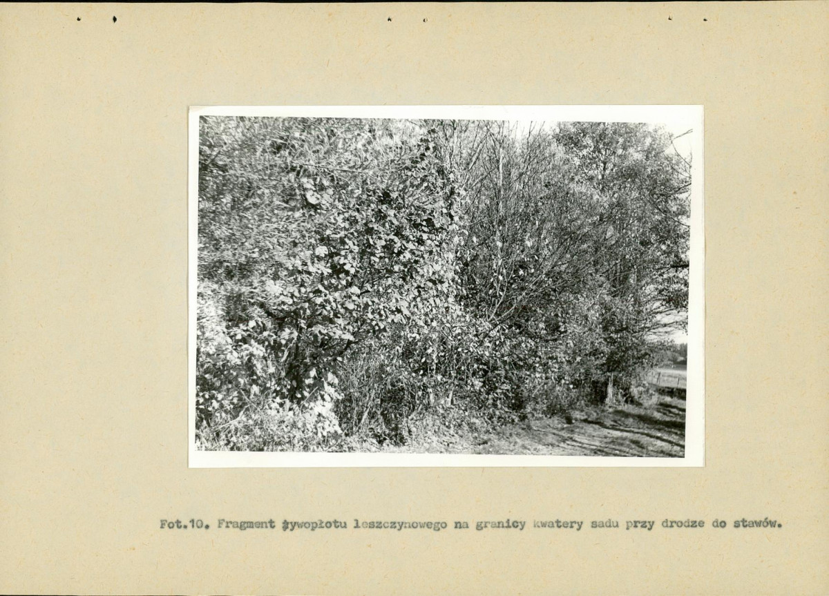 EP - Ewidencja parkowa, skan nr 34