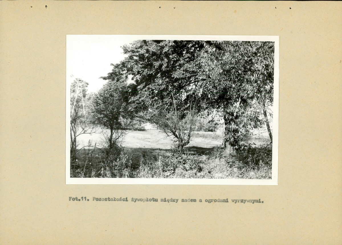 EP - Ewidencja parkowa, skan nr 35