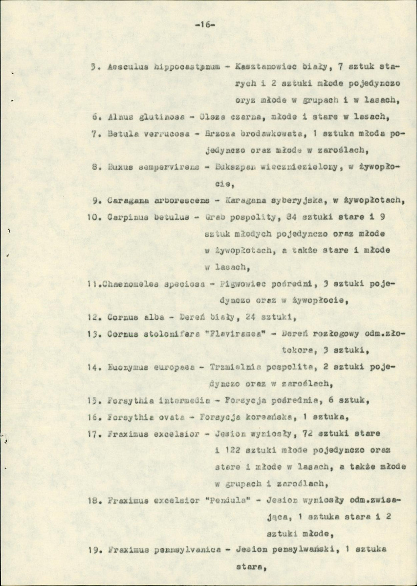 Ewidencja parkowa, skan nr 23