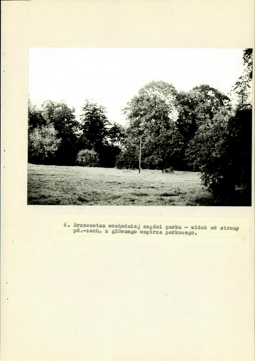 Ewidencja parkowa, skan nr 40