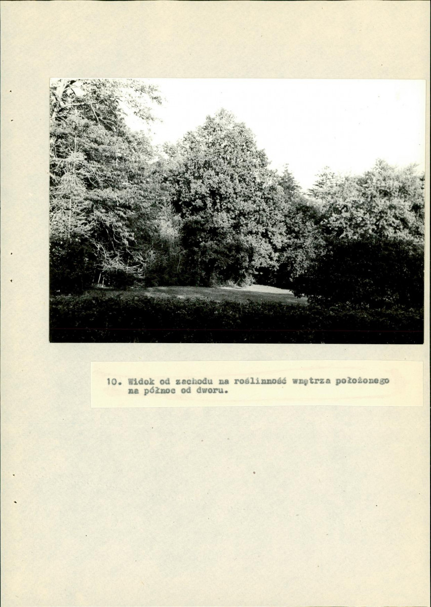 Ewidencja parkowa, skan nr 44