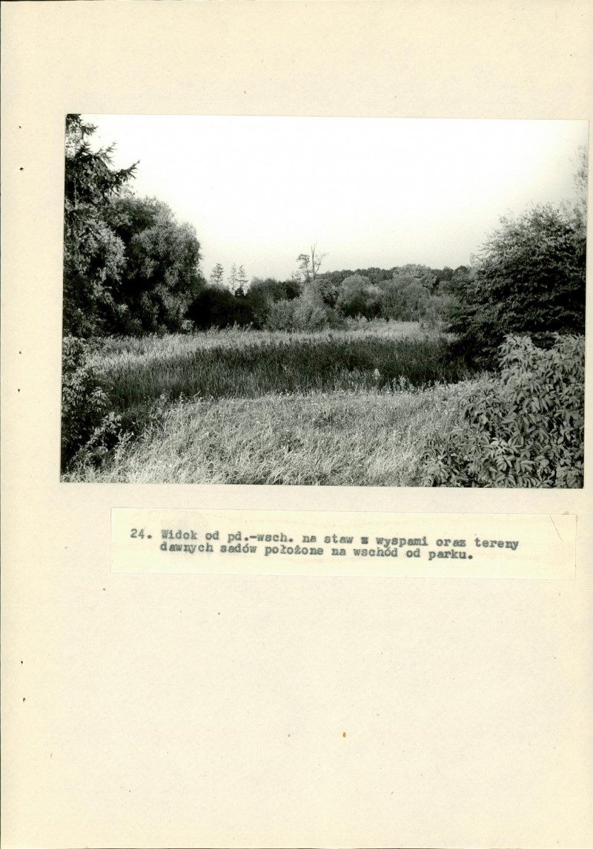 Ewidencja parkowa, skan nr 58