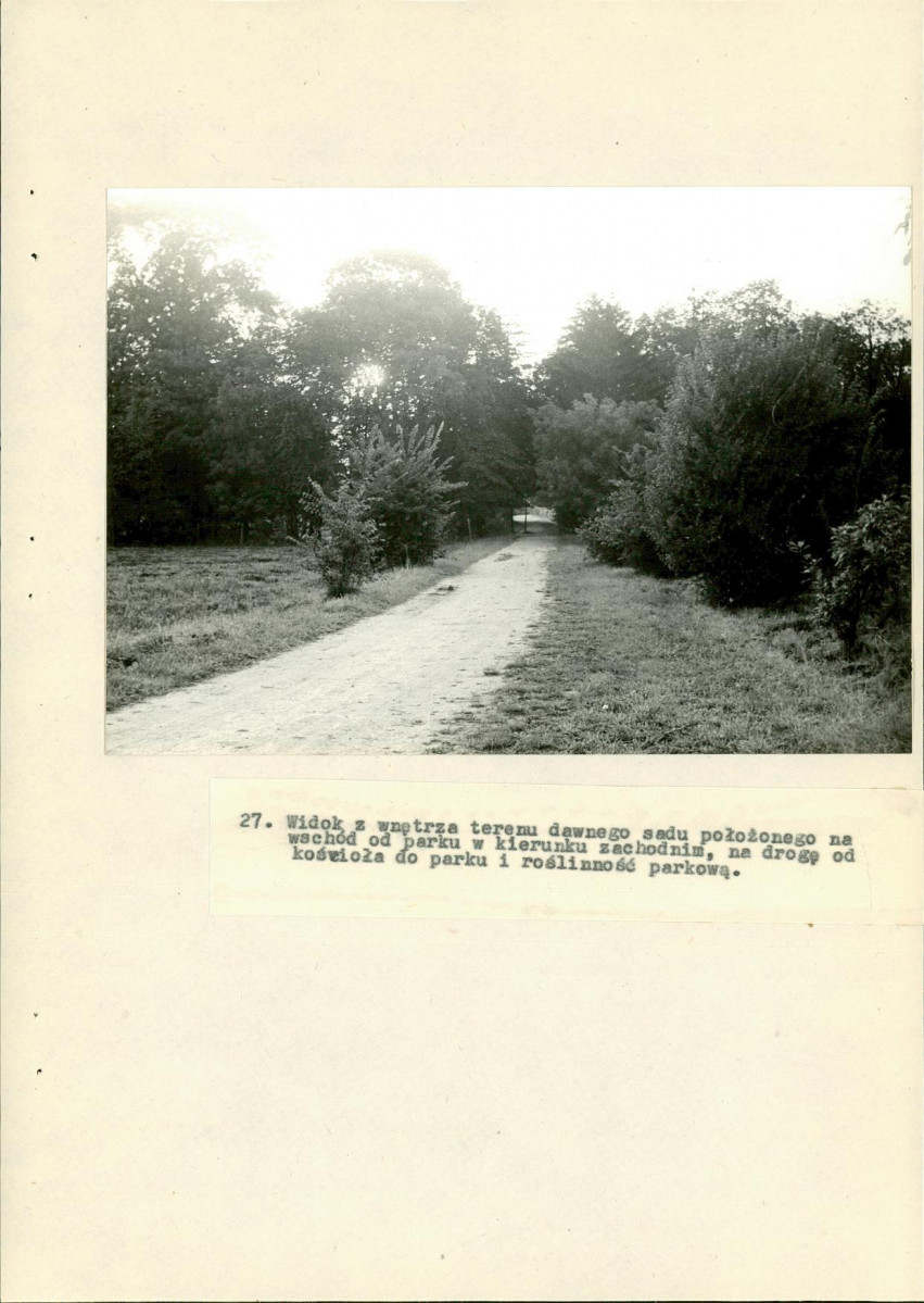 Ewidencja parkowa, skan nr 61
