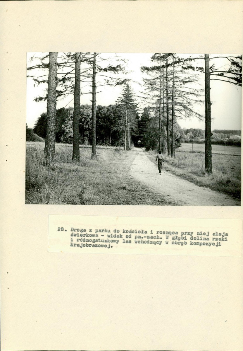 Ewidencja parkowa, skan nr 62