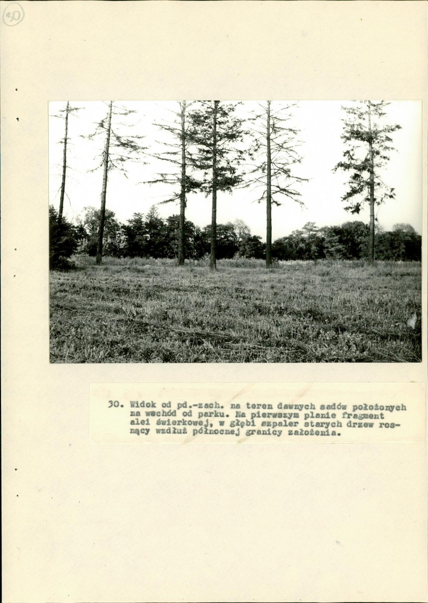 Ewidencja parkowa, skan nr 64