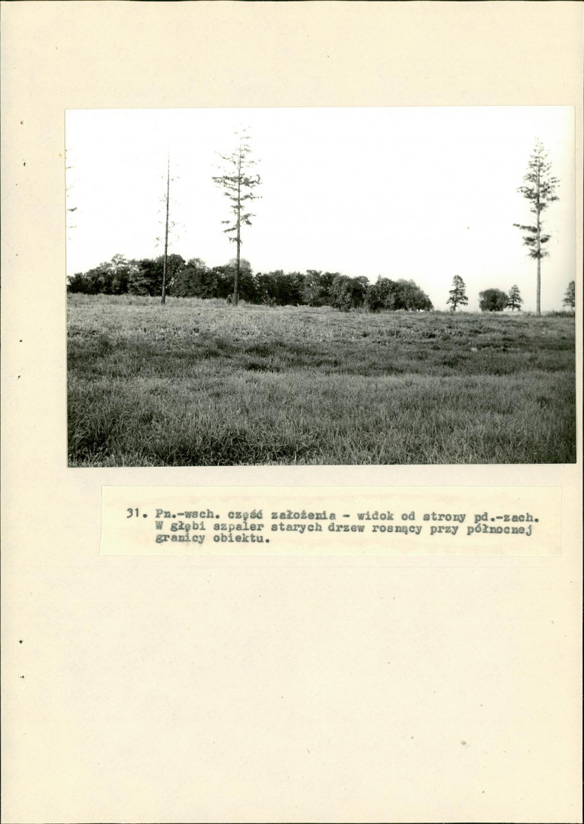 Ewidencja parkowa, skan nr 65