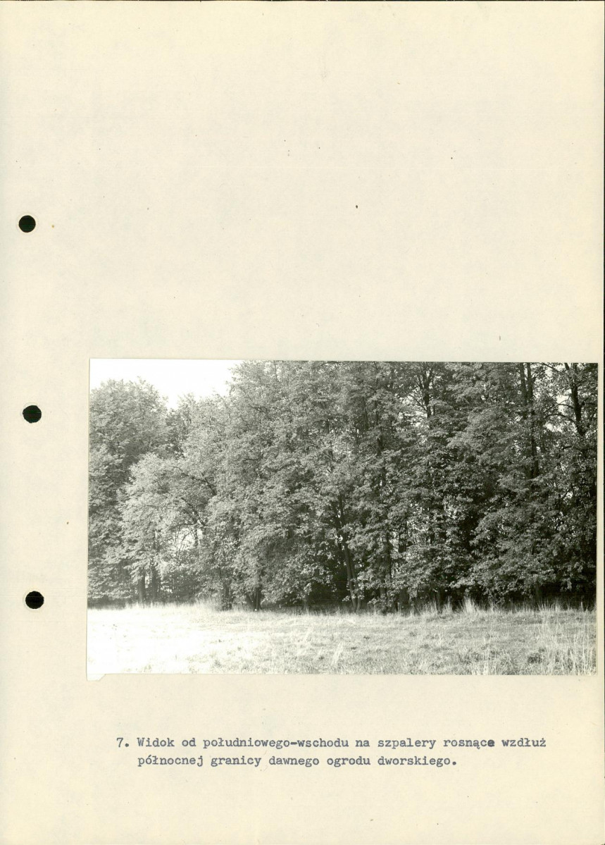 EP - Ewidencja parkowa, skan nr 29