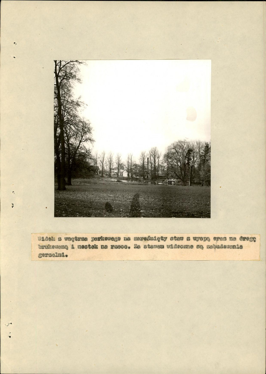 EP - Ewidencja parkowa, skan nr 19