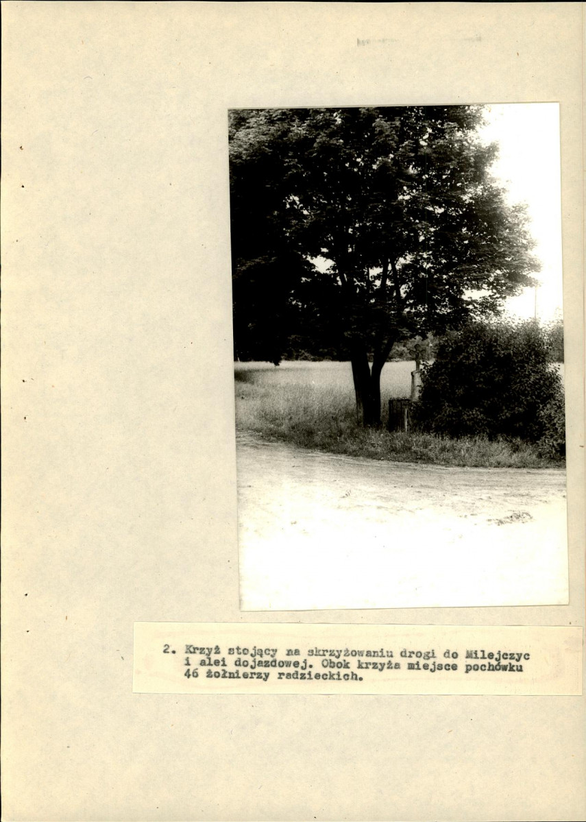 Ewidencja parkowa, skan nr 29