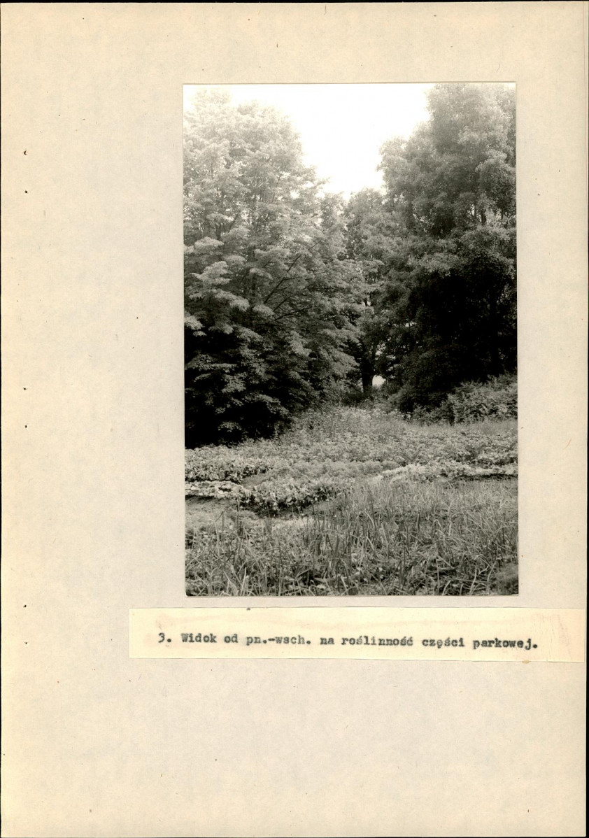 Ewidencja parkowa, skan nr 30