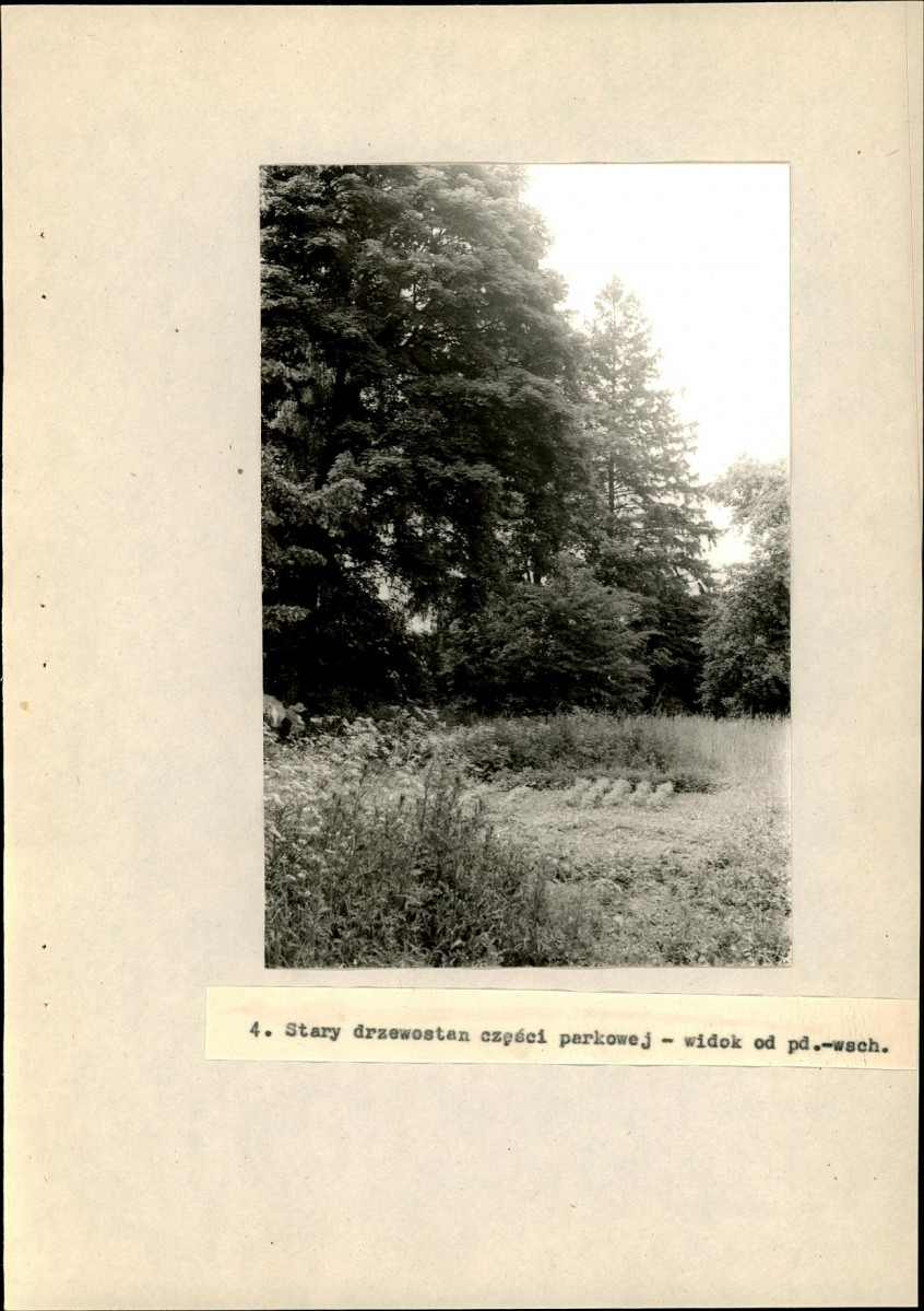 Ewidencja parkowa, skan nr 31