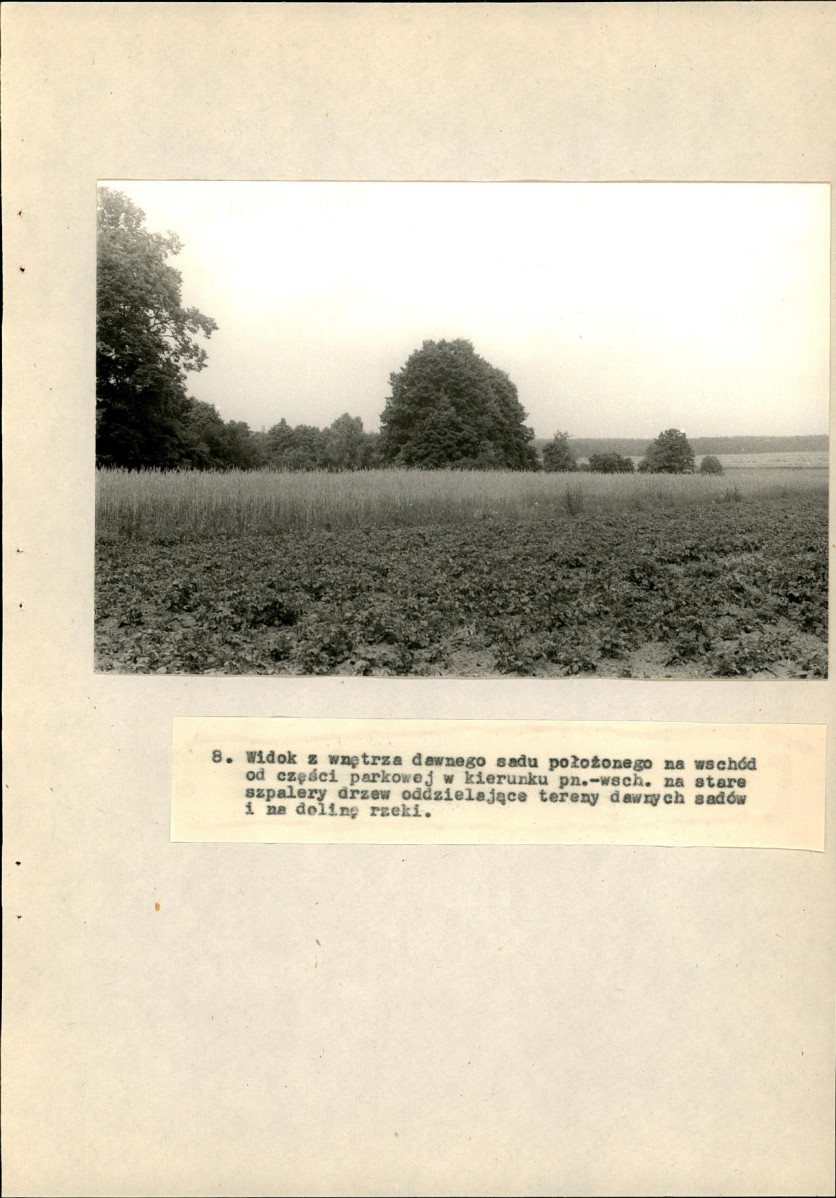 Ewidencja parkowa, skan nr 35