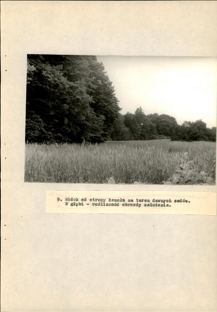 Ewidencja parkowa, skan nr 36