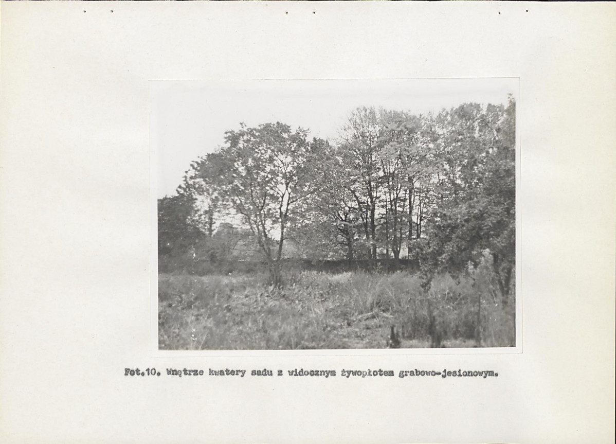 Ewidencja parkowa, skan nr 37