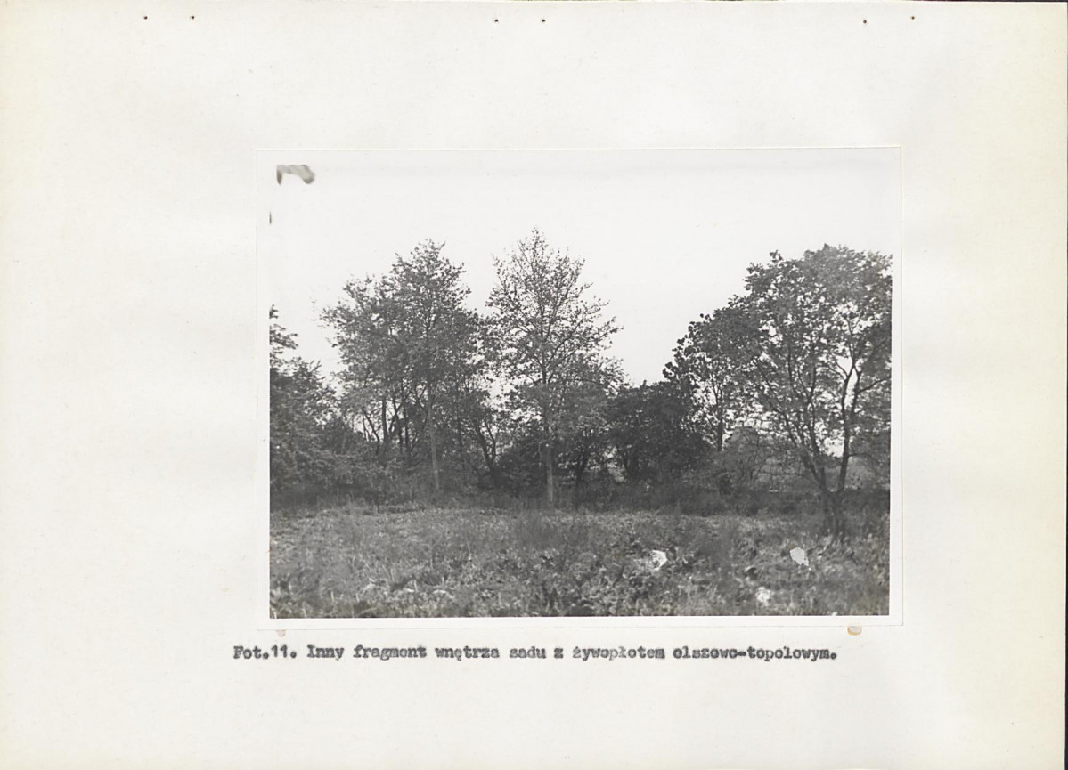 Ewidencja parkowa, skan nr 38