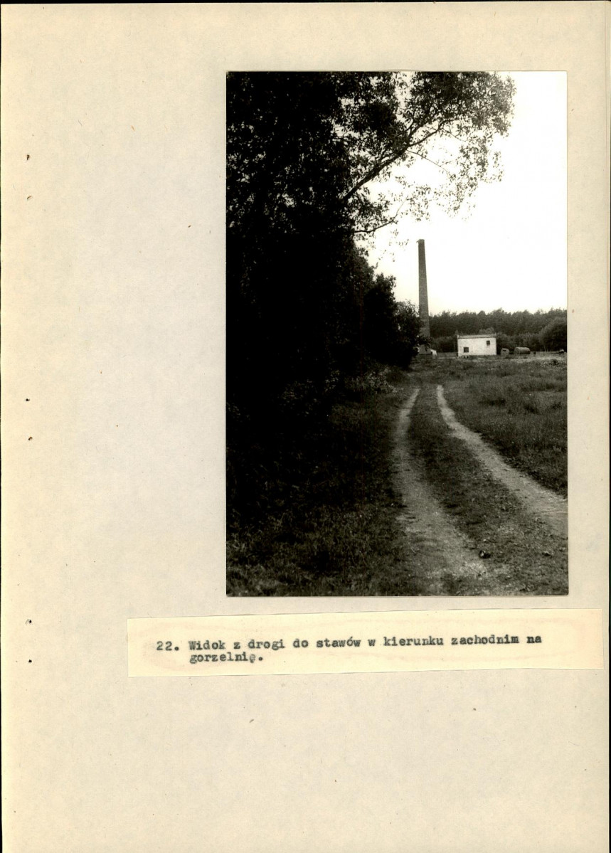 Ewidencja parkowa, skan nr 49