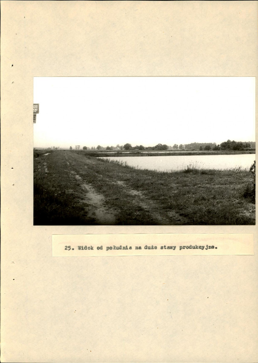 Ewidencja parkowa, skan nr 52