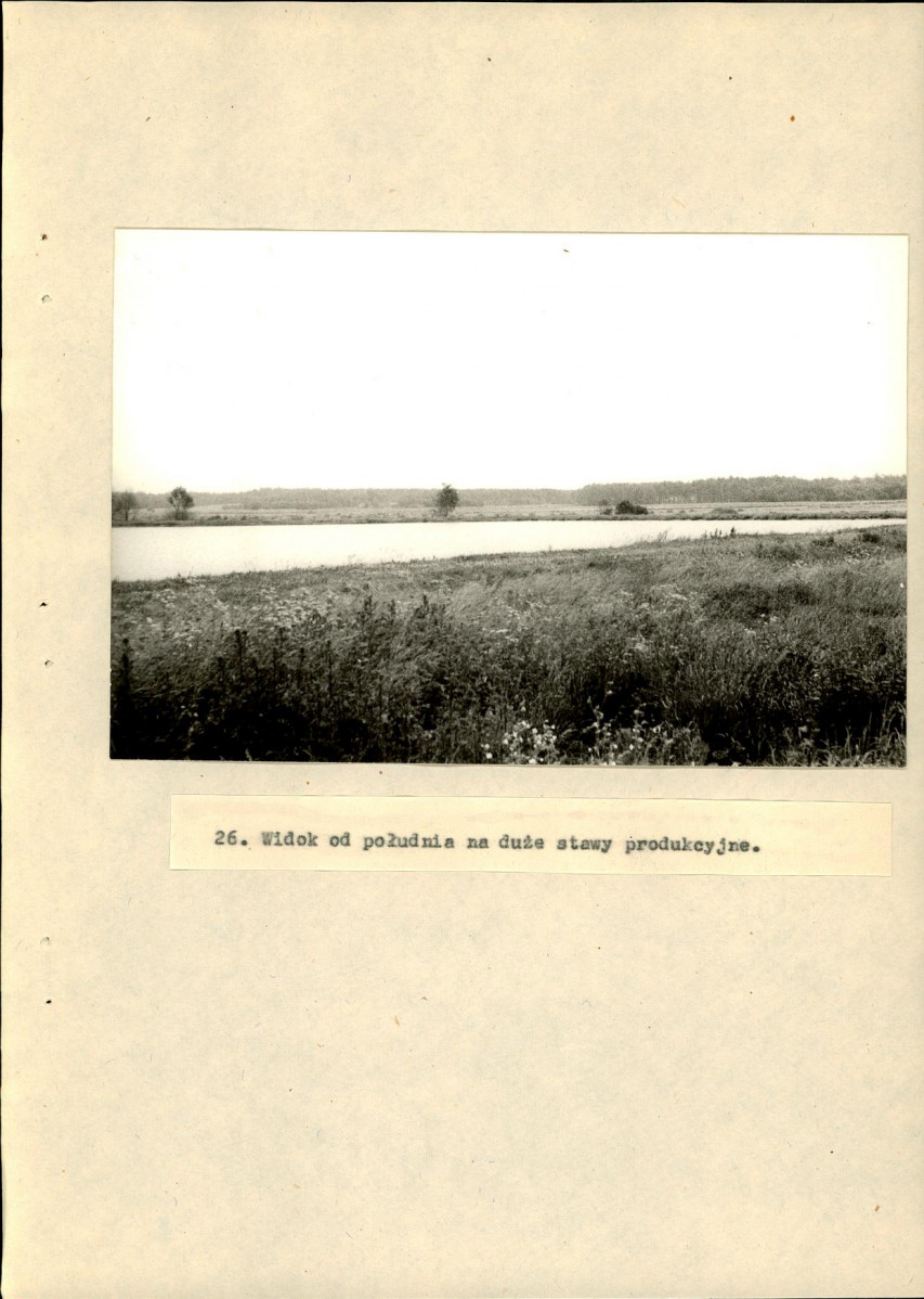 Ewidencja parkowa, skan nr 53