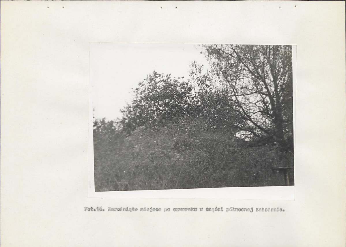 Ewidencja parkowa, skan nr 43