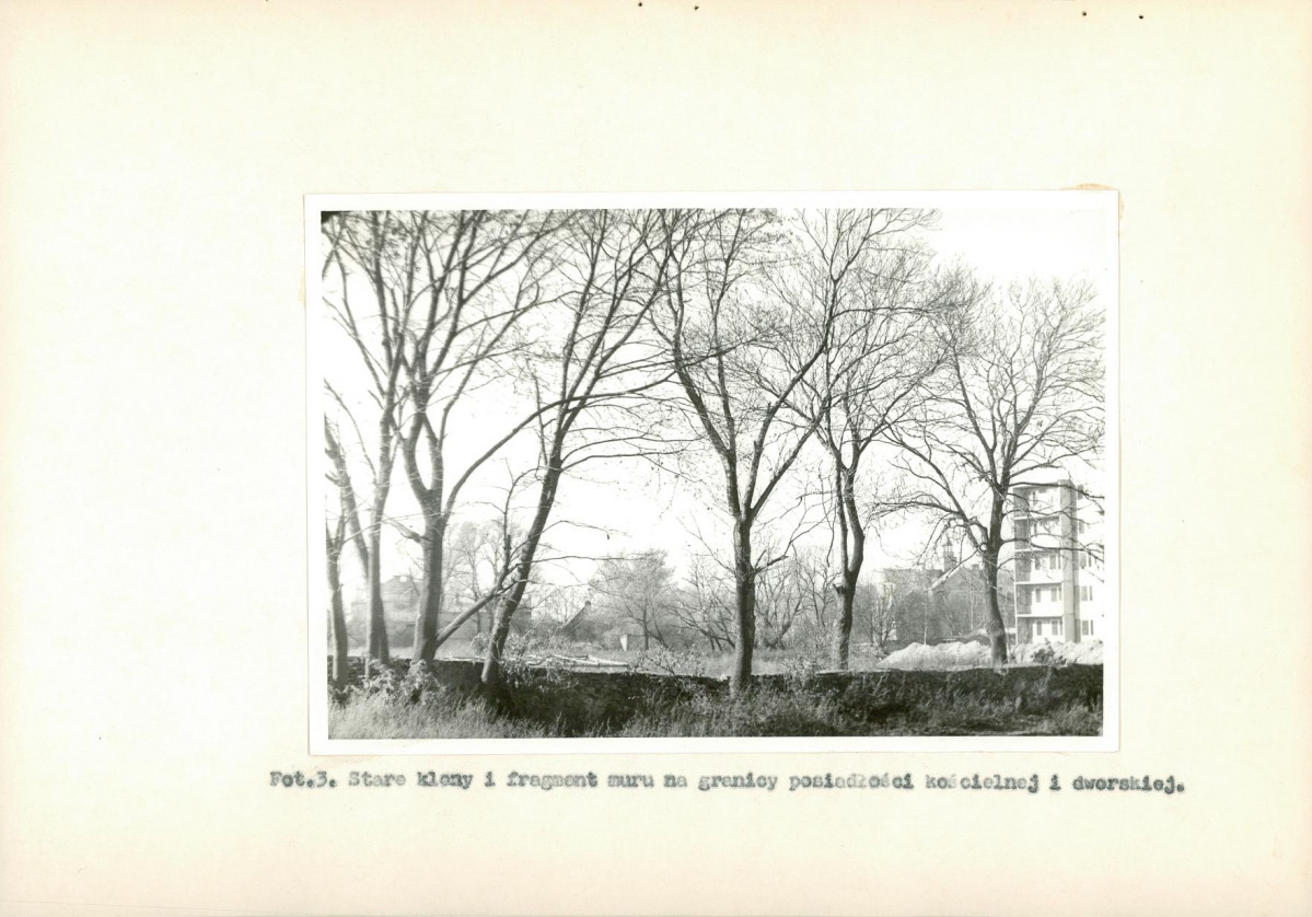 Ewidencja parkowa, skan nr 32