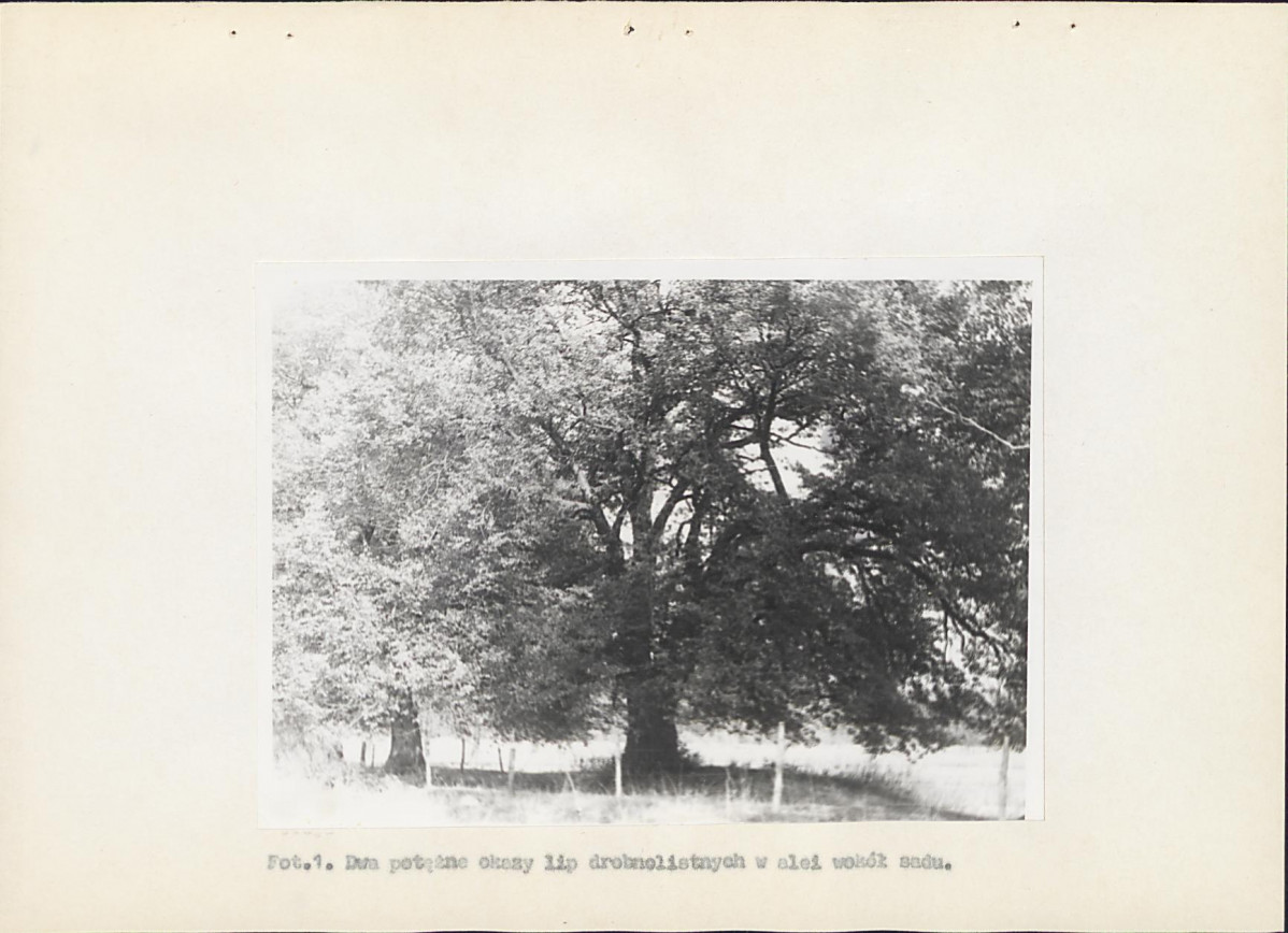 EP - Ewidencja parkowa, skan nr 22