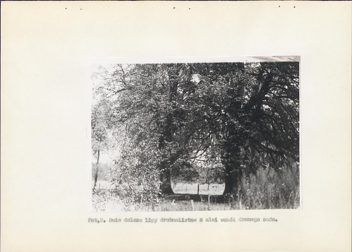 EP - Ewidencja parkowa, skan nr 23