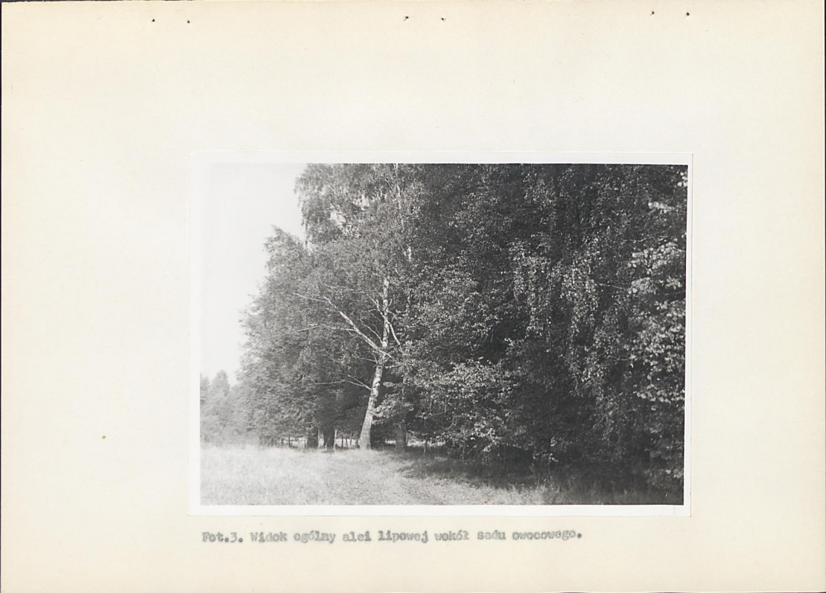 EP - Ewidencja parkowa, skan nr 24