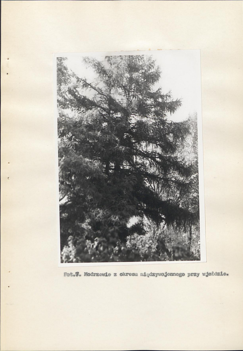 EP - Ewidencja parkowa, skan nr 28